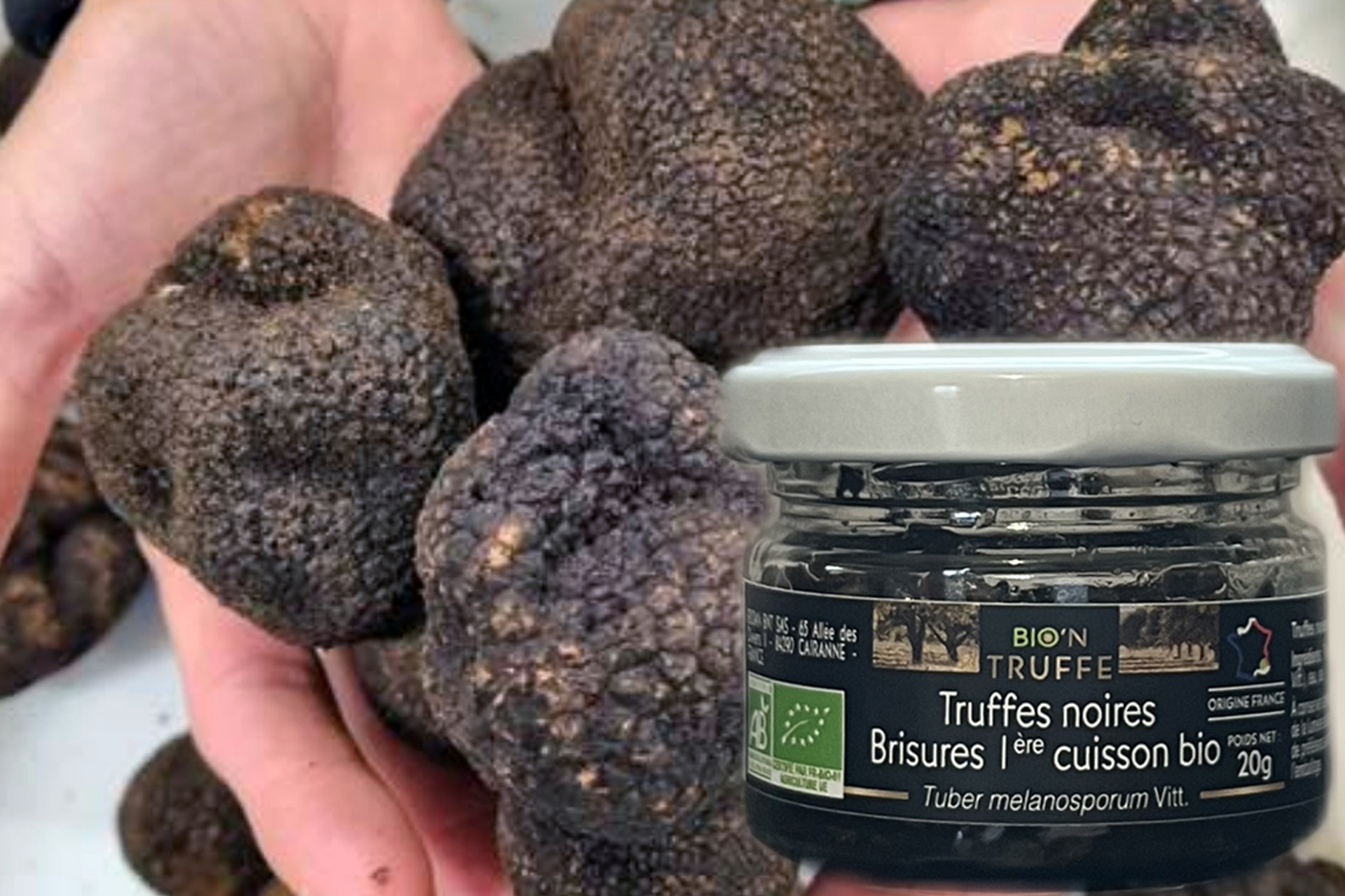 Truffes noires BIO'N TRUFFE